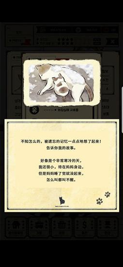 猫咪天堂 安卓版v2.10截图3