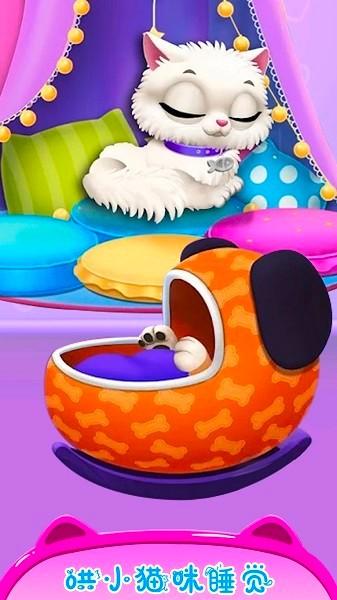 公主宠物小猫咪 安卓版v2.7截图1
