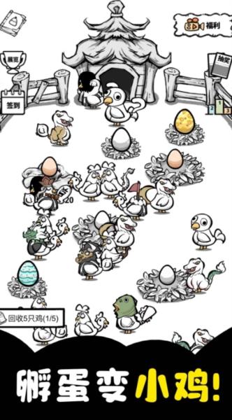 养鸡时长两年半2