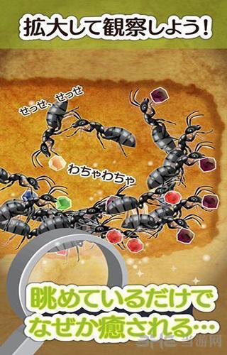 蚂蚁的巢穴 安卓版v1.0.0截图2