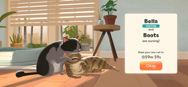 我的猫俱乐部 安卓版v1.20.3截图2