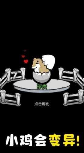 养鸡时长两年半无广告版 安卓版v1.0.1截图3