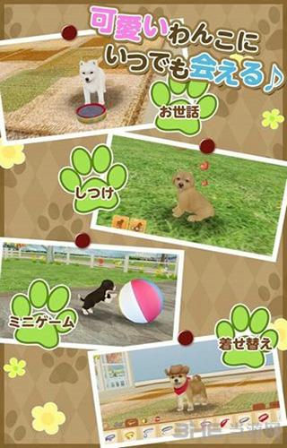 掌上狗狗 安卓版v3.8.3截图2