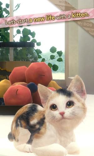 与我的猫咪手游 最新版v1.2.6截图3