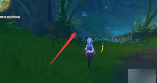 原神池鸳直装启动器图片11