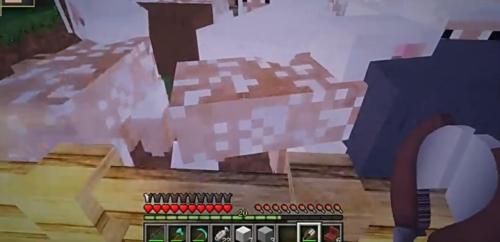 我的世界大航海时代整合包图片1