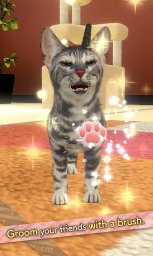 与我的猫咪手游 最新版v1.2.6截图0