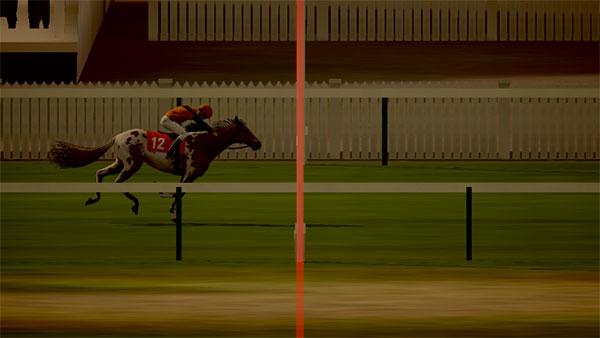 家族传奇马匹养成竞技3