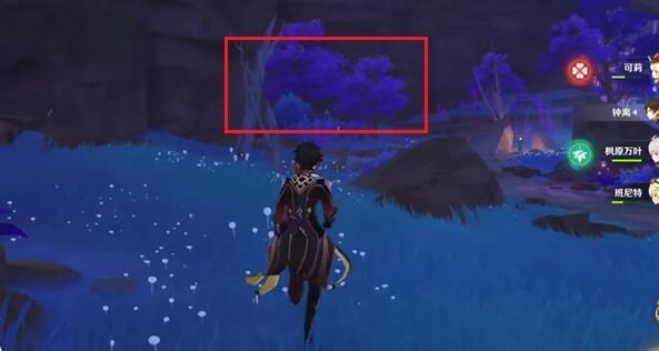 原神池鸳直装启动器图片5