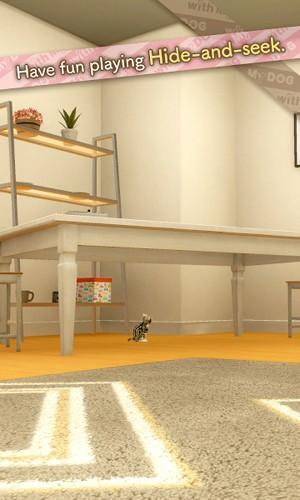 与我的猫咪手游 最新版v1.2.6截图1