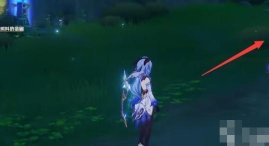 原神池鸳直装启动器图片10