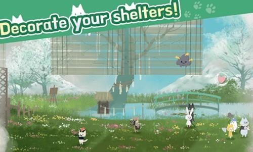 猫咪收容所 安卓版v1.1.2截图0