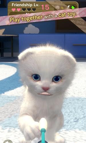 与我的猫咪手游 最新版v1.2.6截图2