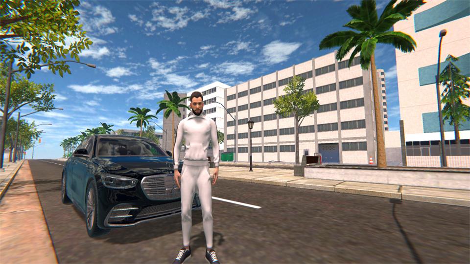 驾驶之王游戏免广告版0.52最新版截图2