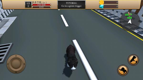 Zoom与动物Zoom新版本                    截图3