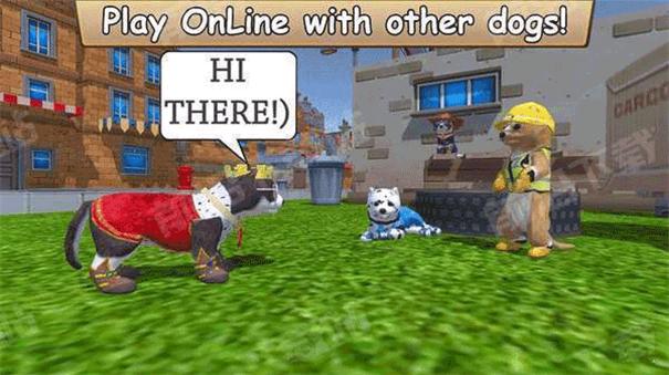 Zoom与动物Zoom中文版                    截图1