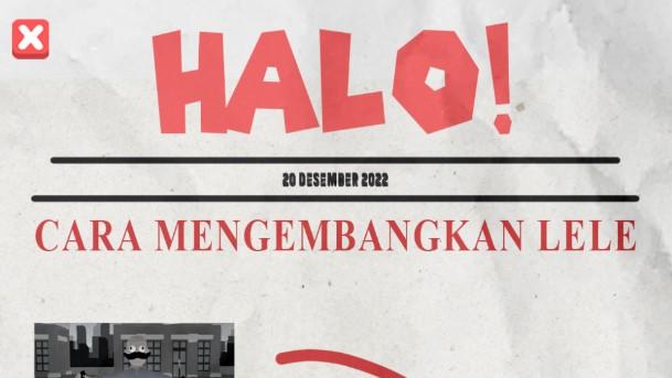 我是鲶鱼养殖户无限钻石金币版(akuPeternakLELE) 0.1 测试版 0.1 测试版