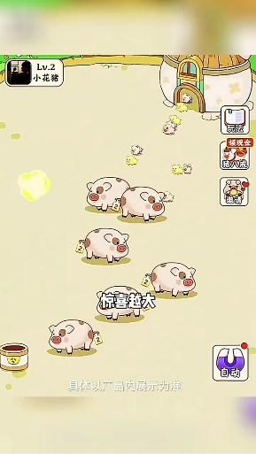 全民来养猪红包版官方正版 1.0.1 安卓版