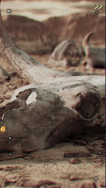 贪玩野兽领主新世界官方2024下载安装 v1.0.24 安卓中文版 v1.0.24 安卓中文版 v1.0.24 安卓中文版