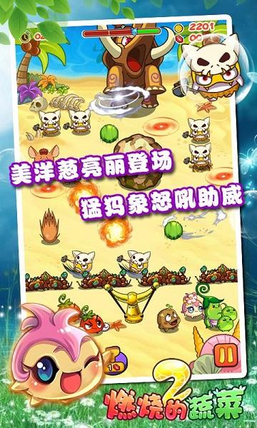 燃烧的蔬菜2 截图1