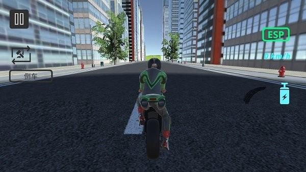 终极赛车模拟驾驶 截图0