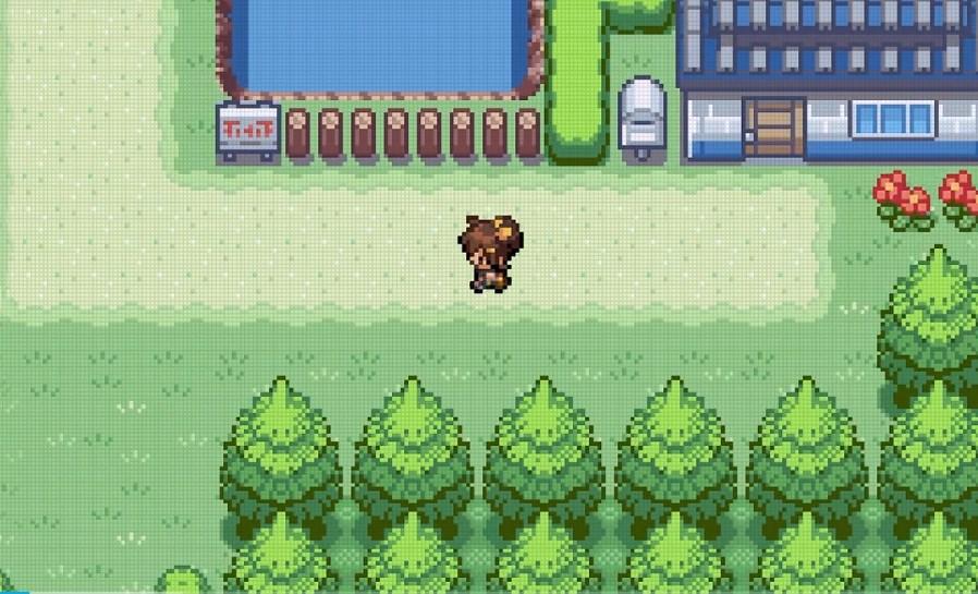 口袋妖怪愿望汉化中文版 v2.0 安卓版截图2