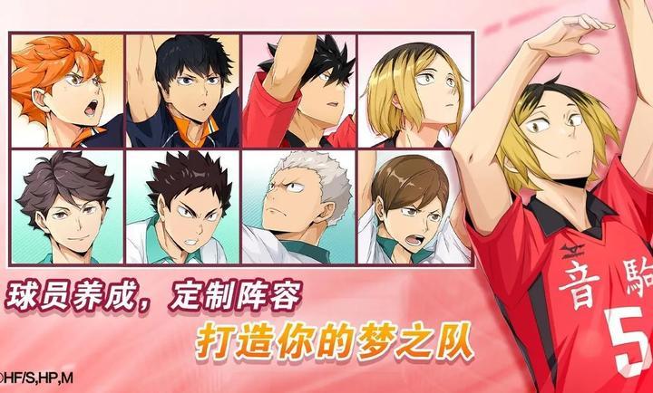 排球少年新的征程 截图1