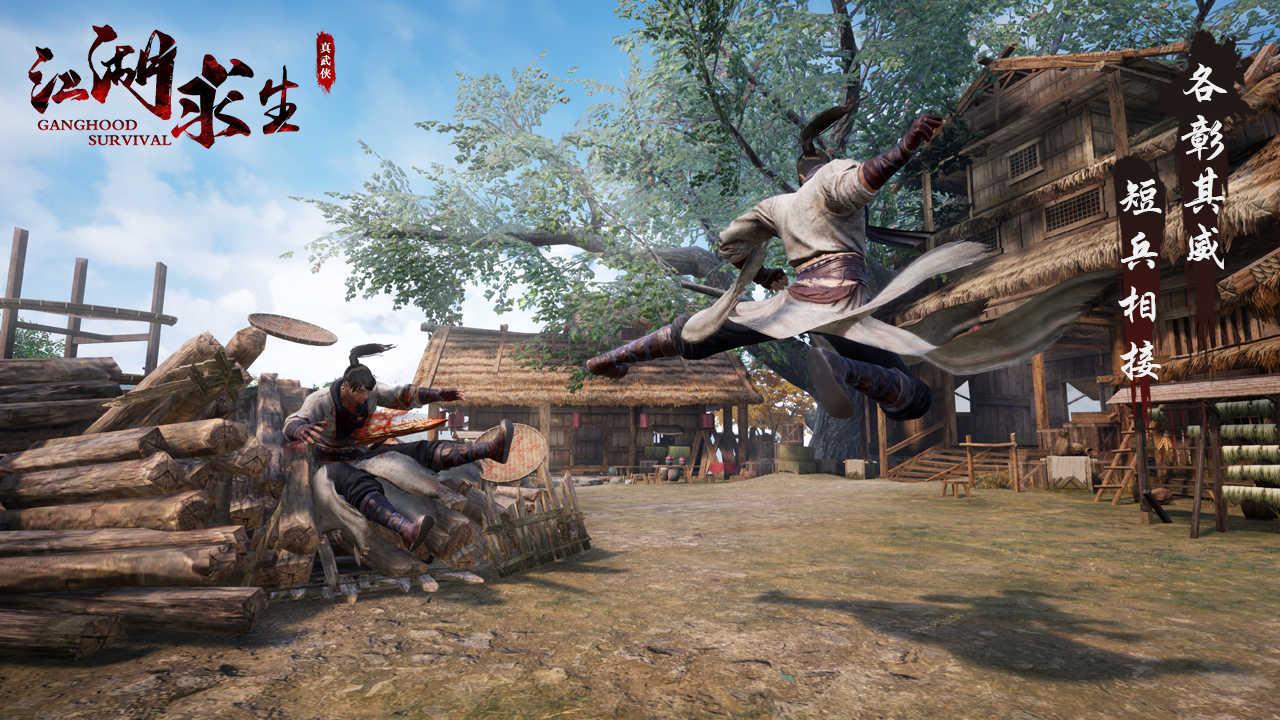 江湖求生兼容版截图3