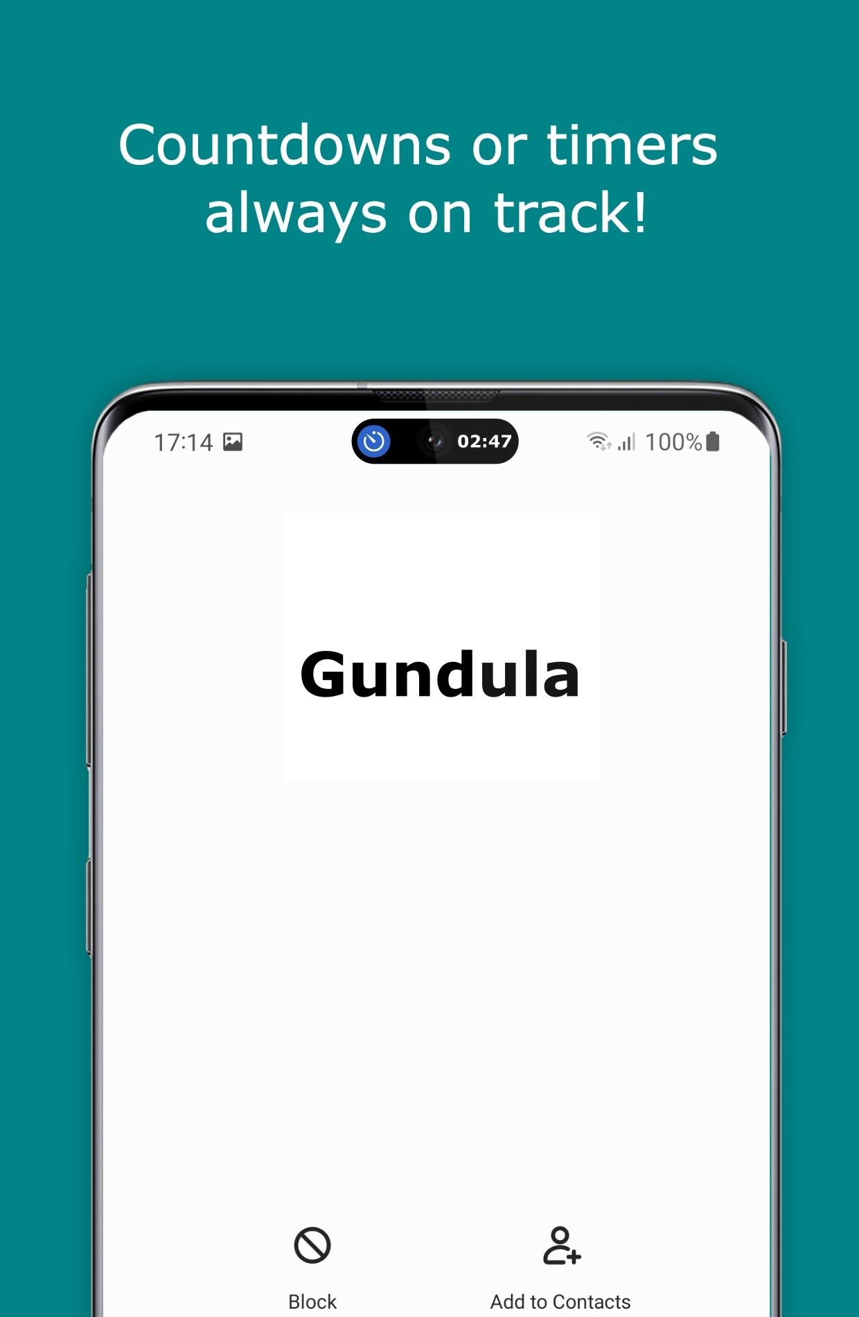 灵动岛中文Pro版
