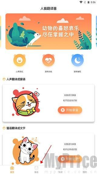 猫咪翻译器