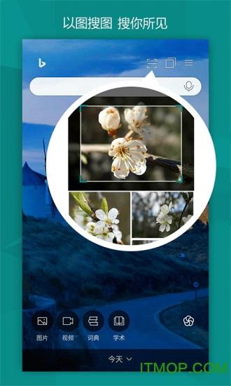 必应浏览器国际版