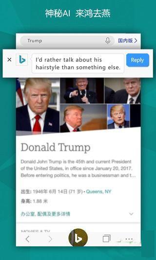 微软必应国际版