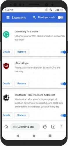 Kiwi Browser浏览器