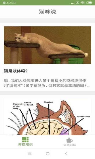 猫咪生活圈截图2