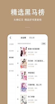 枝猫小说截图0