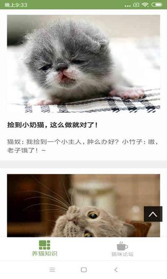 猫咪生活圈截图0