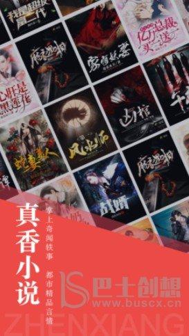 真香小说截图1