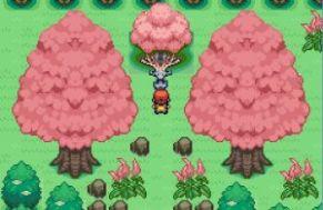 口袋妖怪梦的光点4.0最新汉化版下载截图0