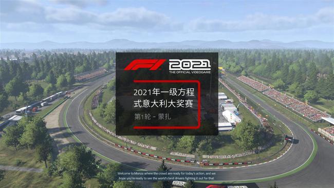 F12021游戏手机版下载截图1