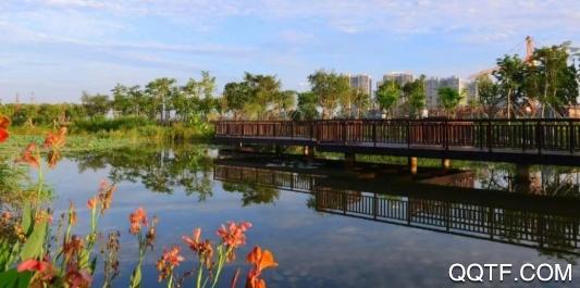 金湾融媒app安卓版