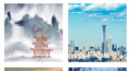 视频壁纸之家app免费版