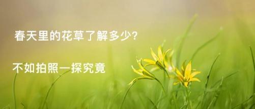 识物王手机客户端