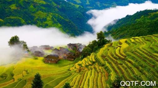 多彩黔东南app安卓版