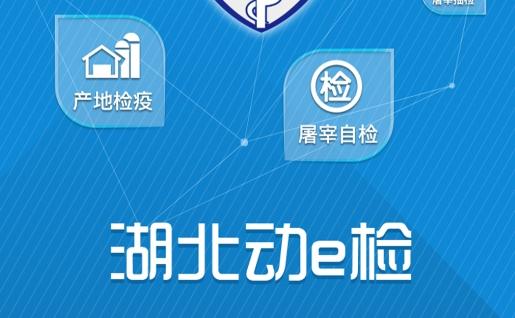 湖北动e检安卓版