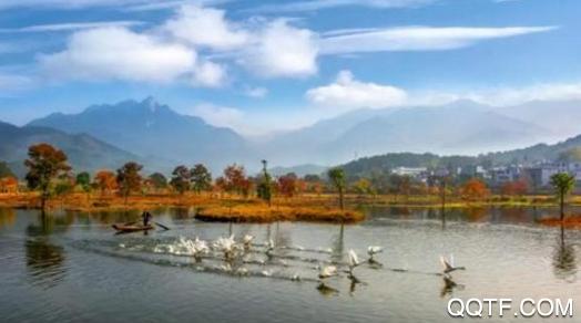 玩转罗田app安卓版