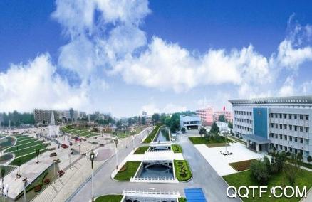 宁阳文明实践云app安卓版