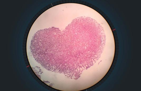 爱病理app安卓版