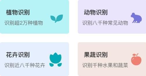 识物王手机客户端