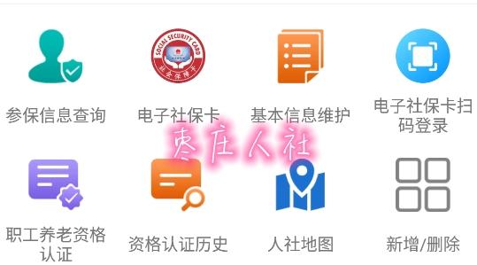 枣庄人社医保缴费平台