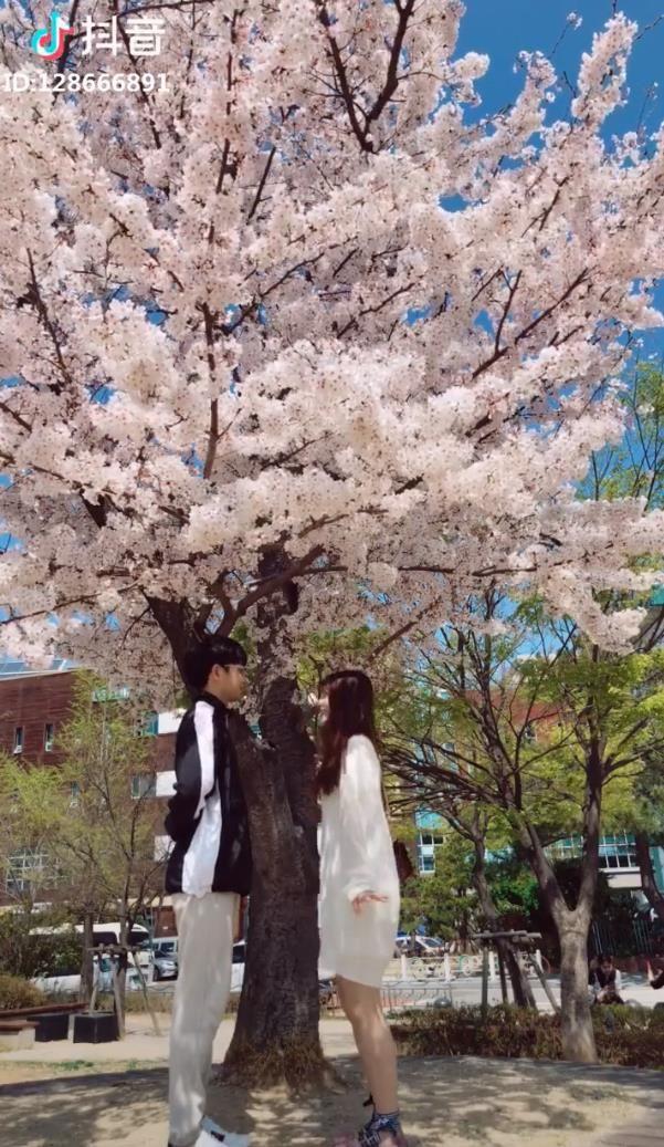 抖音爱的华尔兹舞蹈视频bgm歌词分享图片1